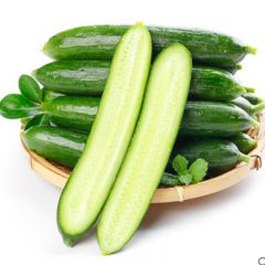 黄瓜新鲜小黄瓜水果小青瓜荷兰蔬菜农家10山东旱生吃5斤现摘现发