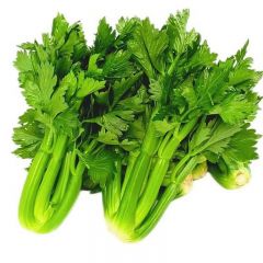 云南高原水果清芹生吃新鲜水果芹菜西芹当季青菜蔬菜现采现发批发